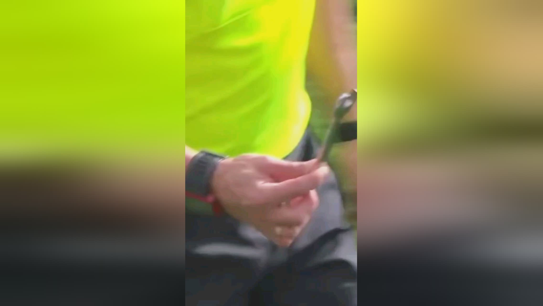 HS-100高速分散机